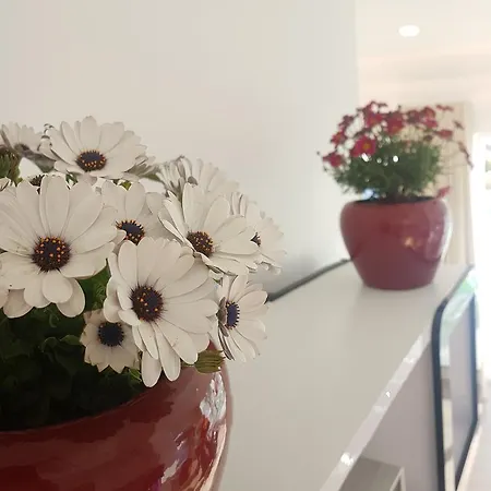 Ferienhaus Nira House Luxury & Simplicity Ericeira
